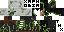 Texture for steve pig