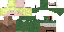 Texture for Link