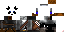 Texture for Pangea