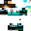 Texture for davint_20