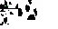 Texture for Korr2