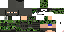 Texture for leon