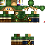 Texture for Link No Shield