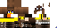 Texture for ducks