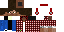 Texture for Steve