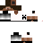 Texture for steve 2019