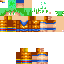 Texture for SSJGSSJ