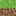 Texture for grass_block