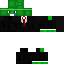 Texture for Enderguard_