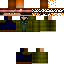 Texture for v