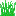 Texture for нов текстура пшеницы