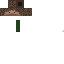 Texture for head