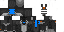 Texture for steve