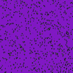 Texture for the end potal