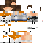 Texture for Chell