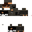 Texture for steve