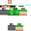 Texture for leo