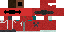 Texture for racer 