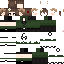 Texture for Treffer v3 pochti