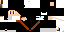 Texture for albertCps