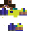 Texture for Steve Road Up