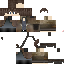 Texture for EXP06