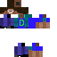 Texture for Steve