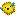 Texture for Fish puffer