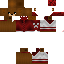 Texture for ensierterBÄR