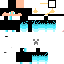 Texture for 新スキン