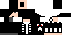 Texture for Patch