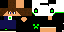 Texture for Steve