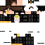 Texture for penguin