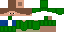 Texture for Simple Steve