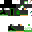 Texture for Nestinger