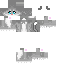 Texture for Comet Cat