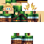 Texture for link