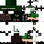 Texture for Timtom100