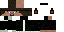 Texture for Steave