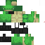 Texture for Turtle In Apron