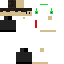 Texture for Steve