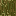 Texture for acacia_bark.json