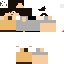 Texture for W