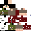 Texture for Survivor