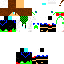Texture for ZARCORT