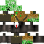 Texture for creeper