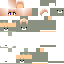 Texture for Kitten