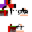 Texture for Ender