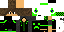 Texture for steve