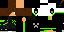Texture for ToXXicNinja